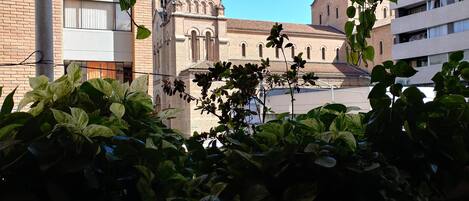 View from balcony of Metropolitana Cathedral and Parque Bolivar one block away.