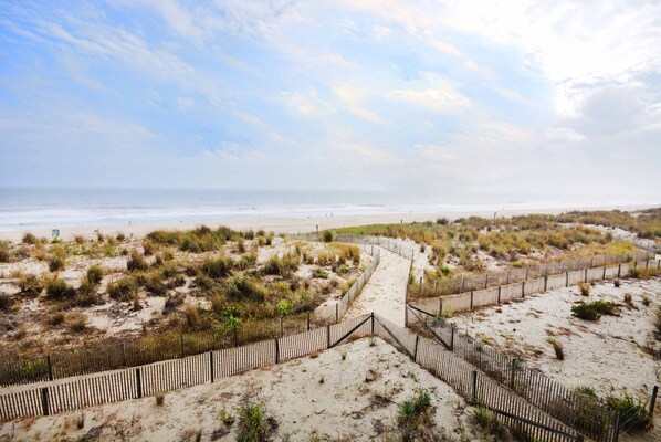 Oceanfront View from Diamond Beach 311 Balcony