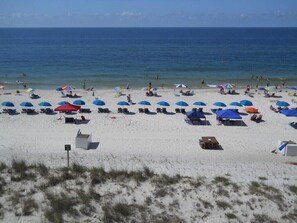 From dolphins to parasailing, there's so much to take in from this gorgeous beach view!
