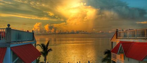 Spectacular View of The Gulf of Mexico From The Rooftop Patio of The Yellowtail