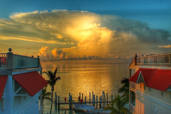 Spectacular View of The Gulf of Mexico From The Rooftop Patio of The Yellowtail