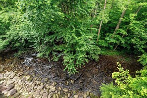 Relax to the sound of the river