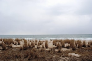 Ocean Trail 205-Balcony View