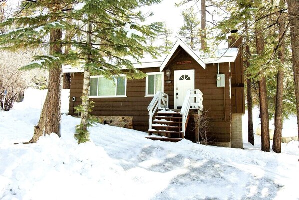 Snow covered Big Bear Cool Cabins Grizzly Bear front