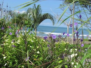 Ocean View from pool