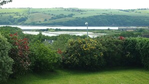 View from the bottom of the rear garden