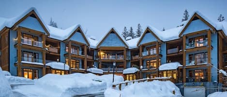 SilverTip Exterior - Winter