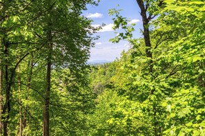Incredible View of The Mountain Tops and Woods From The Back Spacious Deck