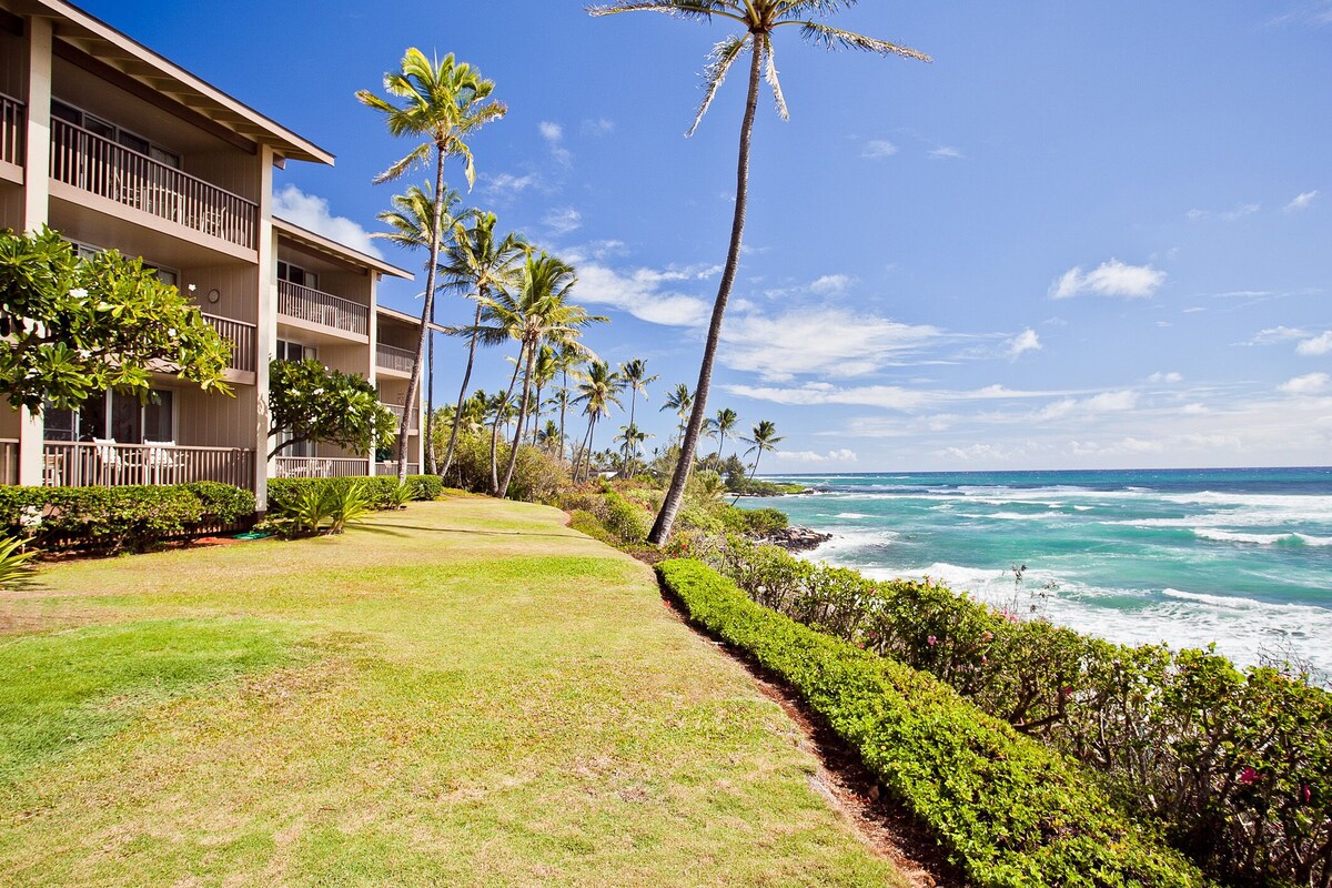 Oceanfront, newly renovated. As low as $220/night.