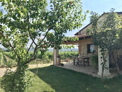 Casa vacanze La Vigna