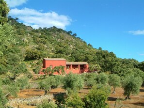 cortijo from olive groves