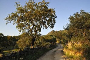entrance to finca