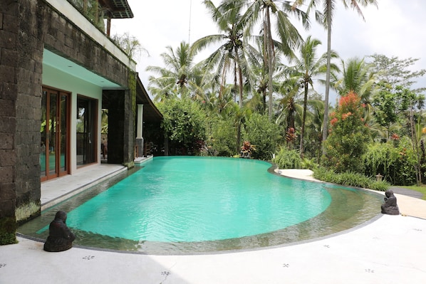 Magnificent 18 m x 8 m Outdoor Swimming Pool