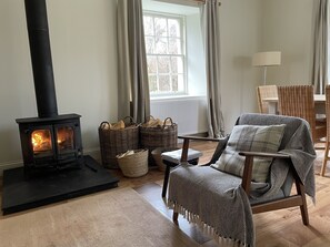 Log burning stove 
