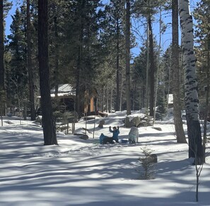 Property grounds