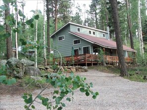 Summer Green. Aspen Ridge Alpacas' barn is behind the Barnhaus. 