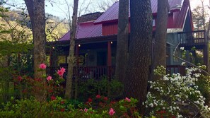 Springtime at the Treehouse.  This side of the house the deck is covered.