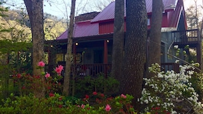 Springtime at the Treehouse.  This side of the house the deck is covered.