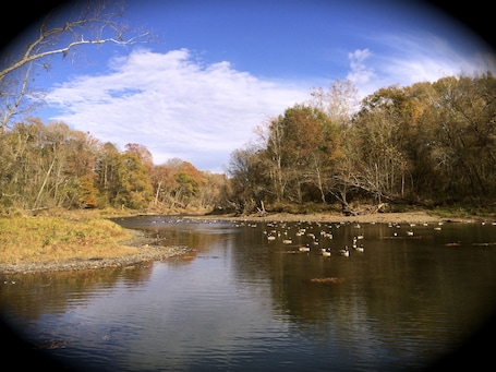 View from our dock. We are located on 8 beautifully landscaped acres.