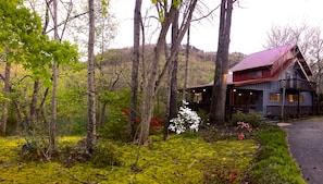 Our beautiful home sitting up  high over the Little Red River