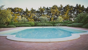 Pool surrounded by lavender and olive trees