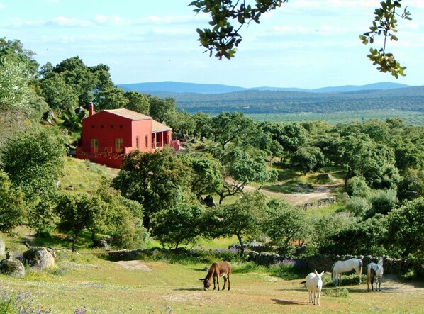 The cortijo from the horse meadow