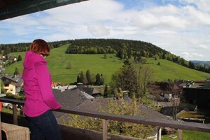 Ferienwohnung Nr. 8 Typ A, 38qm, Balkon, 1 Wohn-/Schlafraum, max. 2 Personen-Blick vom Balkon