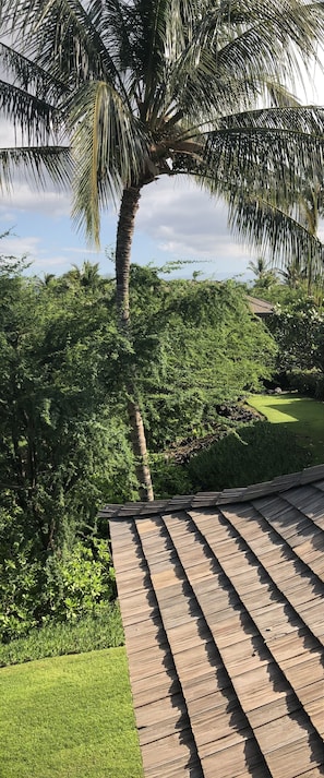 Pretty view from upstairs bedroom lanai.