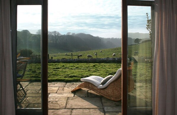 The view from the patio