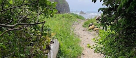 Beautiful path and the beach emerges