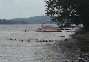 Lake side views from beach