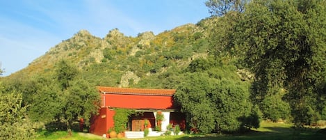 The lovely barn in its own meadow with the sierra in the background