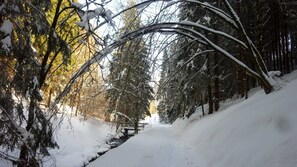 Miscellaneous
