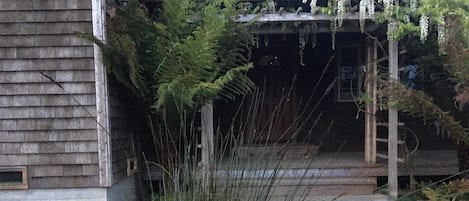 Front walk, Wisteria Arbor, redwood porch, and Front Entry