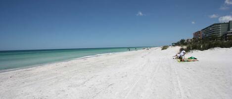 The Gulf of Mexico and the Pristine White Sands of Indian Shores are Just Steps Away from the Condo!