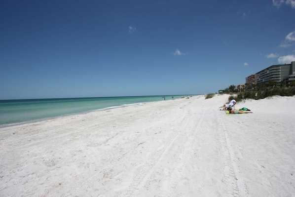 The Gulf of Mexico and the Pristine White Sands of Indian Shores are Just Steps Away from the Condo!