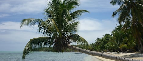 Spiaggia