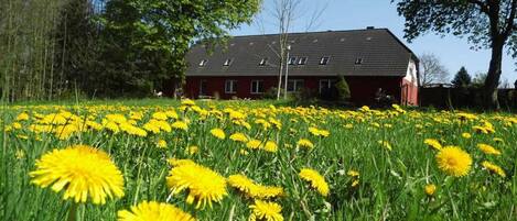 Blick auf die Ferienwohnung