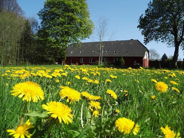 Blick auf die Ferienwohnung