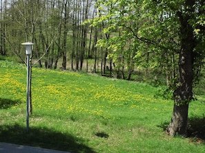 Blick aus der Ferienwohnung auf die Wiese mit dem Tribohmer Bach