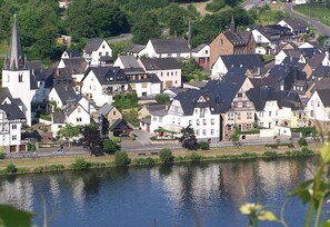Pension Mosellablick, (Briedern), LHS 04951-Hausansicht