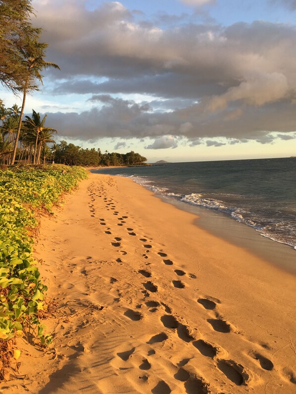 our beach for sunset and long walks