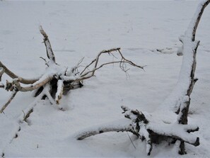 Sports d’hiver
