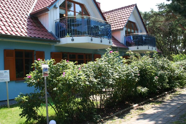 Strandhaus Jonathan direkt hinterm Deich