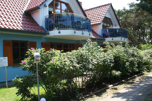 Strandhaus Jonathan direkt hinterm Deich