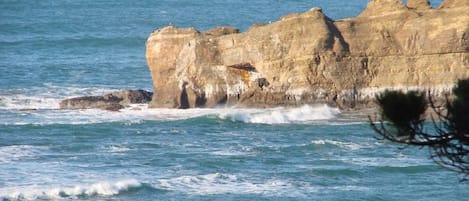 Whale watch from the deck and over looking the surfers