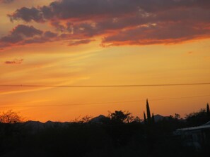 Oklassificerad bild, 5 av 44, knapp