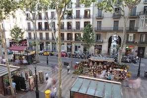 Vista desde la habitación
