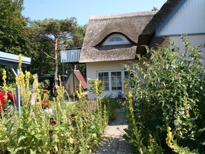Ferienwohnung im Obergeschoß unterm Rohrdach direkt hinter dem Deich