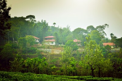 Green Garden Daisy Villa  - Double Bed Room